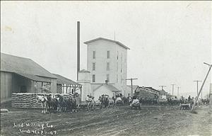 Four-story mill building at center rear; several horse-drawn wagons on dirt street in foreground transporting and unloading sacks of wheat 