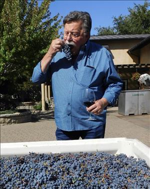 A white man with a mustache and glasses stands over a bin full of purple grapes. In one hand he holds a glass of red wine and in the other he holds grapes up to his mouth. He is outdoors on a sunny day.