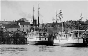 Two steamships docked facing into shore, which rises in background, town buildings on left and bare recently cleared hillside on right 