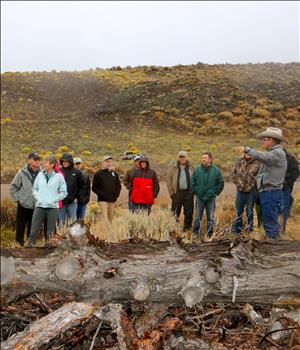 A large group of people in winter clothing stand between a fallen tree and a grassy hillside. 