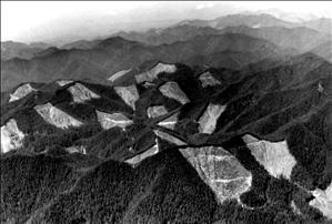 A black and white bird's eye view of mountains covered in thick forest that has been clearcut leaving large bald spots across the landscape. 