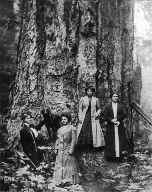 Four women in early twentieth century coats and dresses with a dog at the base of a very large tree. 