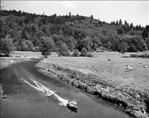 A bird's eye view of a small motorboat pulling a waterskier on a small, narrow river. The river runs through farmland and cows are resting on the shore. A forested hillside in the background.