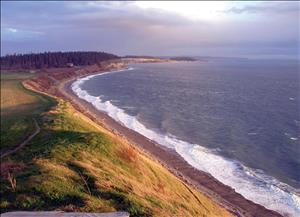 Photograph showing Ebey's Landing on Whidbey Island, with cultivated field on left, forest in the background, shoreland vegetation and Admiralty Inlet to the right