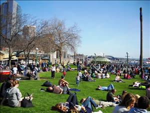 A crowd of people of different races, ages, and genders sitting and lying down on green grass. The sky is blue. City buildings and stadium rooftops are visible in the distance. 