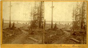 A stereo image of a road through the woods leading to a wooden house in a field along a lakeshore