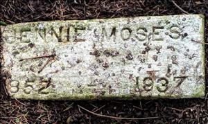 A white stone with the words jennie moses carved into it. It also says eighteen fifty two to nineteen thirty seven on the stone. Dirt and pine needles around the edges of the stone. 
