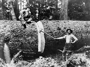 A man stands next to a giant log pointing an axe at a large cut in the log. Two men sit on top of the log. They are in the forest. 