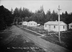 Small one-story houses along a dirt road in a clearing in the forest. 