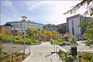 A concrete path towards a cluster of buildings with many glass windows and greenery in front. 