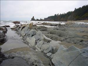 Rocks of different shapes and shades stretch towards the ocean along a sandy beach. A tree covered bluff is in the distance. 