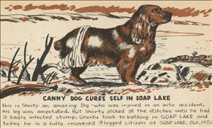 Sketch of a brown dog with its back leg in a sling standing next to a lake