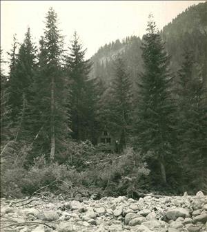 A wooden cabin nestled in thick evergreen forest at the base of a hill