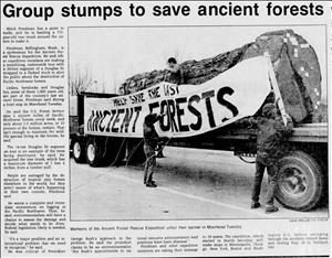 Three men hang a banner on a log that sits on a flatbed truck. The banner says Save the Ancient Forests. The image is next to a headline that says Group Stumps to Save Ancient Forests