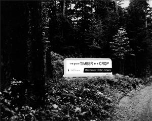 A wooden sign in the trees along a dirt road says We Grow Timber as a Crop. Image is black and white. 