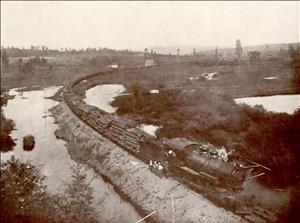 A locomotive pulls a long train of flat cars loaded with logs. The tracks wind through a marsh. 