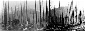 Several people in suspenders and hats stand on a hillside covered with burnt snags. In the distance are rolling hills. 