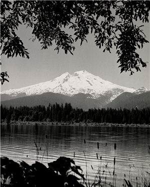 A tall snow capped mountain peak hovers above a lake with forest along its shore. 