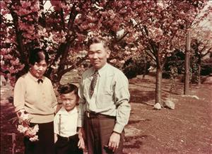 A family of three pose near a line of blooming orchard trees