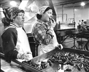 Two workers wearing aprons and bandanas inside a warehouse, smiling and eating pickles