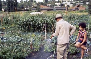 A person sprays water on a large vegetable and flower garden while a young African American person watches