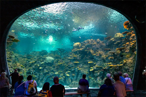 Seattle Aquarium