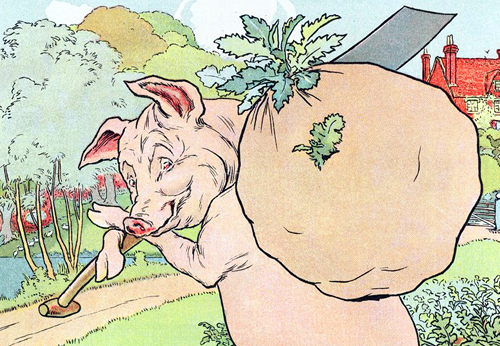 Pig War illustration
