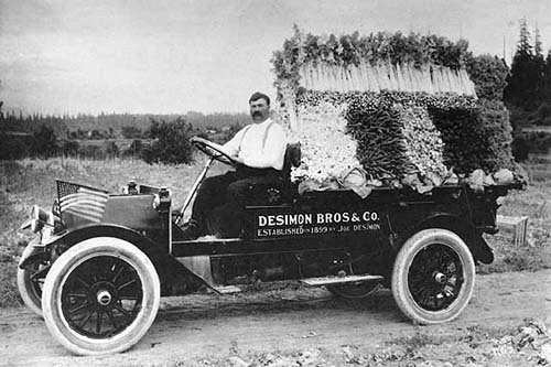 Desimone Brothers vegetable truck