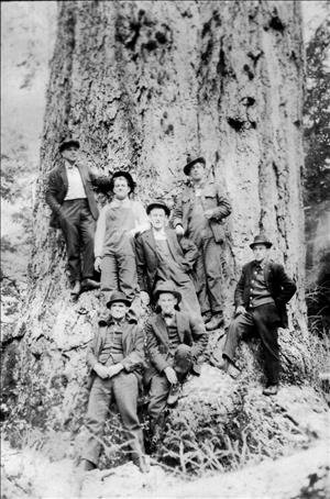 Seven men in hats sit and stand at the base of a very large tree. 