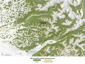 Animation shows satellite view of green covered mountains progressively covered in less and less green. 