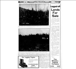 Magazine page shows pictures of trees with the text Logged Off Lands for Sale Wheeler Osgood Company.